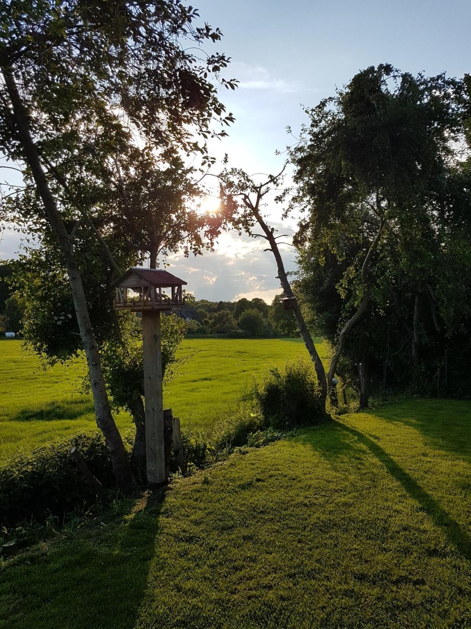 Seeblick- Noer Exterior photo